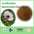 Marshmallow Root Extract Powder